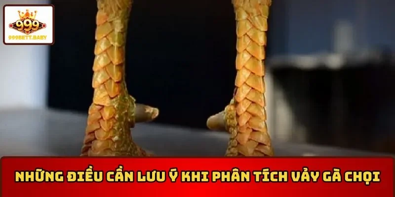Những điều cần lưu ý  trong cách lựa vảy gà chọi